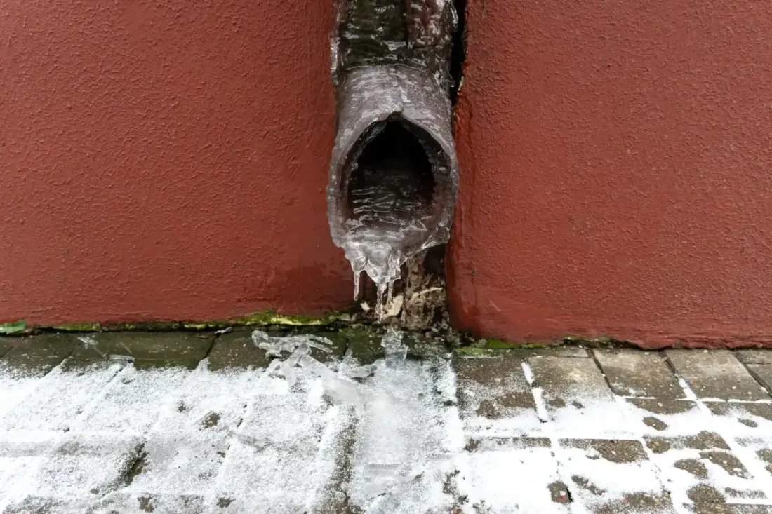 Water leaking from a neglected gutter joint with plant growth
